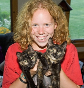 Kipu and Nuna as kittens
