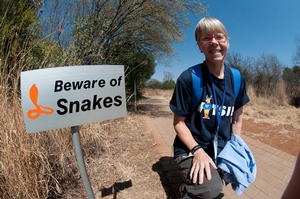 In South Africa - not just your pesky little rattlesnakes