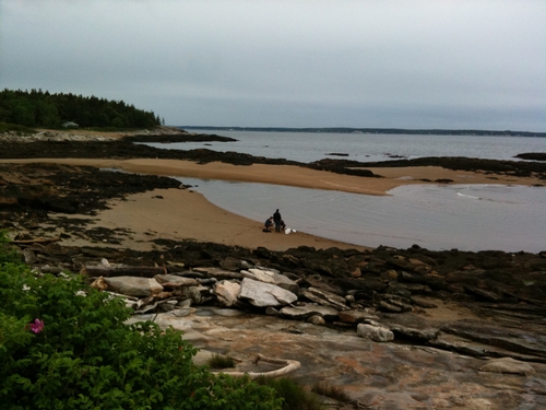 Sampling at Reid State Park, Maine, on our way north.<br />Photo: Ashleigh Smythe