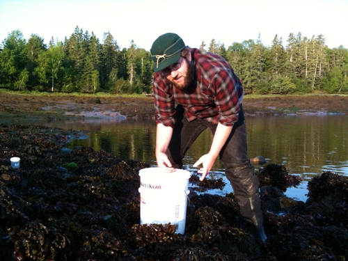 Chris Laumer, searching for flatworms.<br />Photo: Ashleigh Smythe
