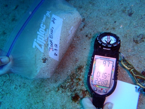 A sand sample, with depth reading of 87 feet, Bookends dive site, Tobago.<br />Photo: Cheryl Thacker